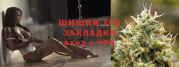 дмт Алексин