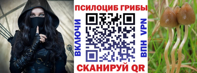 сколько стоит Тобольск Галлюциногенные грибы MAGIC MUSHROOMS