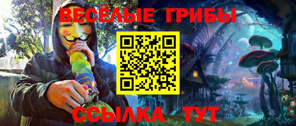 Псилоцибиновые грибы прущие грибы Тобольск