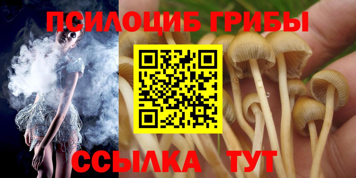 Галлюциногенные грибы Magic Shrooms  Вход с VPN  Тобольск 